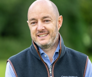 The Green Belt And The Grey Belt - Opportunities For Landowners