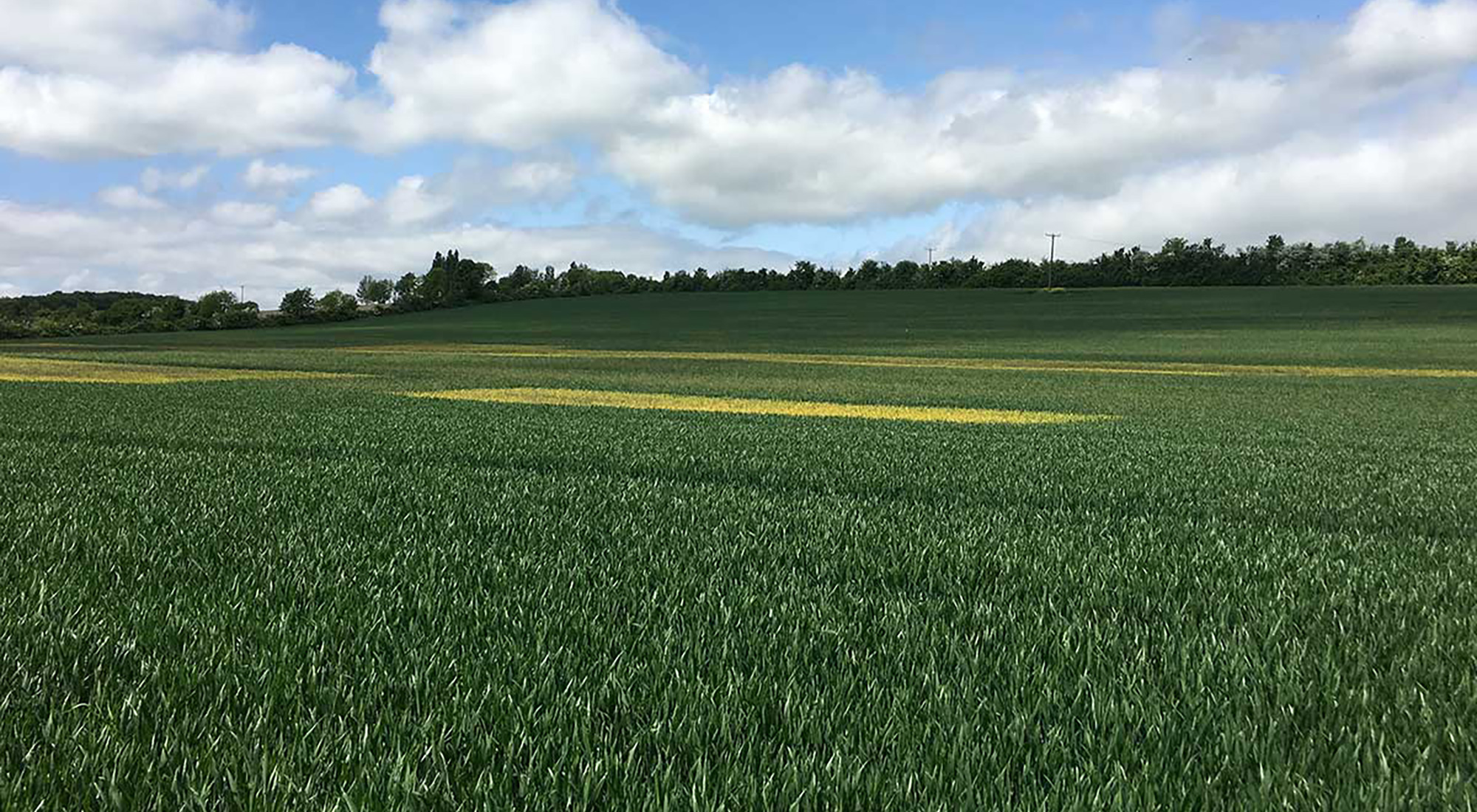 What is my land worth to a developer?